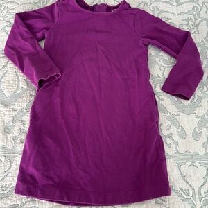 Kids Long Sleeve Purple Dress